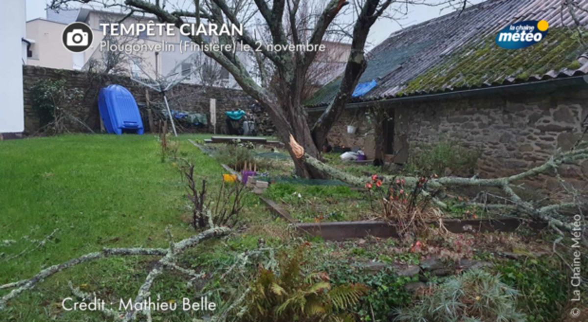 Tempête Ciaran : une bombe météorologique sur le nord dès mercredi -  Actualités La Chaîne Météo
