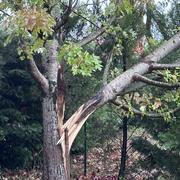 Tercis-les-Bains 03/11/2023