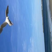 Saint-Malo 09/11/2023