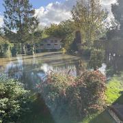 Polincove 11/11/2023