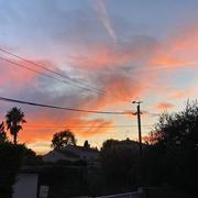 Pomérols 13/11/2023