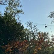 Vieille-Toulouse 16/11/2023