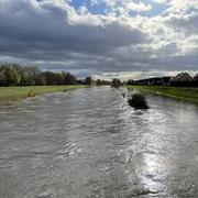 Sundhoffen 17/11/2023