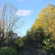 Causse-de-la-Selle 21/11/2023