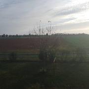 Doué-la-Fontaine 21/11/2023