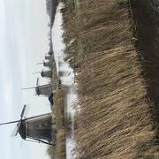 Kinderdijk 22/11/2023