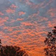 Pompignan 24/11/2023