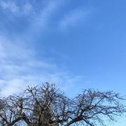 Vic-sur-Aisne 25/11/2023