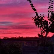 Chemellier 27/11/2023