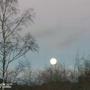 Saint-Guyomard 27/11/2023