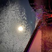 Saint-Laurent-de-Mure 28/11/2023