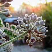 Le Lardin-Saint-Lazare 03/12/2023