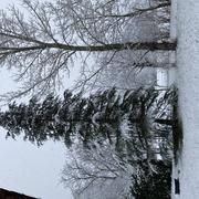 Guillaumes 04/12/2023