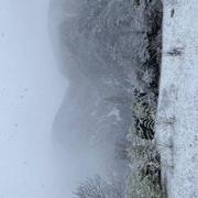 Guillaumes 04/12/2023