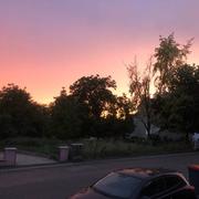 Osthoffen 10/12/2023