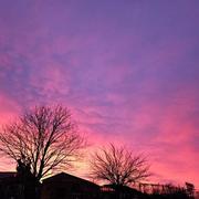 Saint-Séverin 12/12/2023