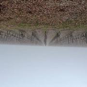 Castelnau-de-Médoc 17/12/2023