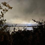 Étang de Thau (Hérault) 19/12/2023