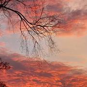 Noisy-le-Sec 25/12/2023