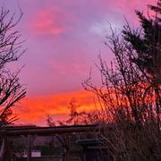 Tronville-en-Barrois 27/12/2023