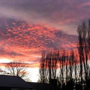 Ohnenheim 30/12/2023