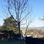 Saint-Paul-en-Jarez 30/12/2023