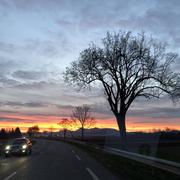 Dambach-la-Ville 31/12/2023