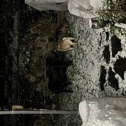 Boissy-sous-Saint-Yon 09/01/2024