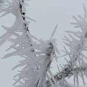 Châtenois-les-Forges 13/01/2024