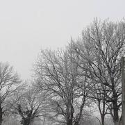 Fontaine-la-Louvet 14/01/2024