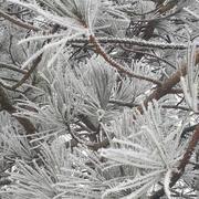 Pierrefaites 14/01/2024