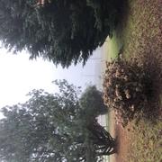 Saint-Cyr-les-Champagnes 16/01/2024