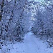 Pont-de-l'Arche 18/01/2024