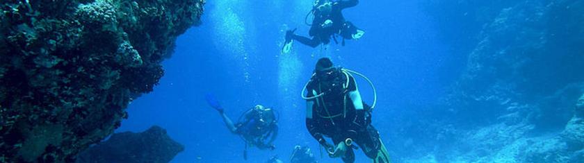 Île Maurice : épaves, failles, tombants... Partons plonger !