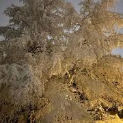 Val-d'Isère 22/01/2024