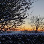 Saint-Léger-lès-Domart 22/01/2024