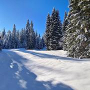 Le Revard 25/01/2024