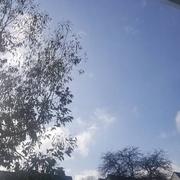 Rosporden 31/01/2024