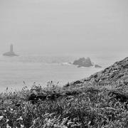 Pointe du Raz 01/02/2024