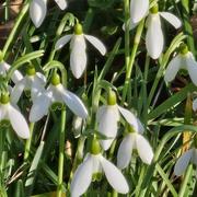 Apremont-sur-Allier 04/02/2024