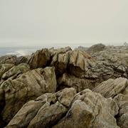 Plabennec 05/02/2024