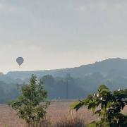 Montégut 13/02/2024