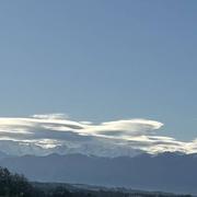 Ogenne-Camptort 14/02/2024