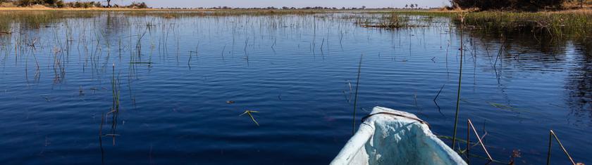 Le delta de l'Okavango, un safari en bateau plein de surprises !