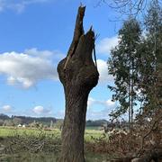 Sallespisse 21/02/2024