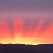 Saint-Hilaire-du-Rosier 22/02/2024