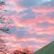 Ars-sur-Moselle 22/02/2024