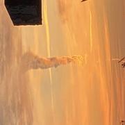 Plourin-lès-Morlaix 23/02/2024