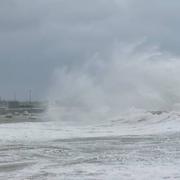 Le Becquet de Digosville 01/03/2024