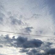 Beaumont-du-Gâtinais 08/03/2024